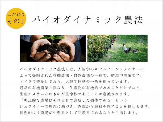 ドイツ産 エキストラバージン ブラッククミンシードオイル 120ml コールドプレス(低温圧搾) |EXTRA VIRGIN COLD PRESSED BLACK CUMIN SEED OIL